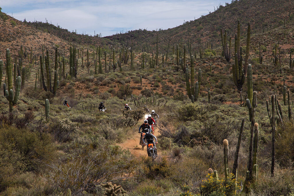 Baja Dirtbike Trips