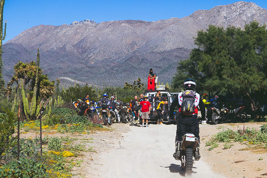 Baja Tours