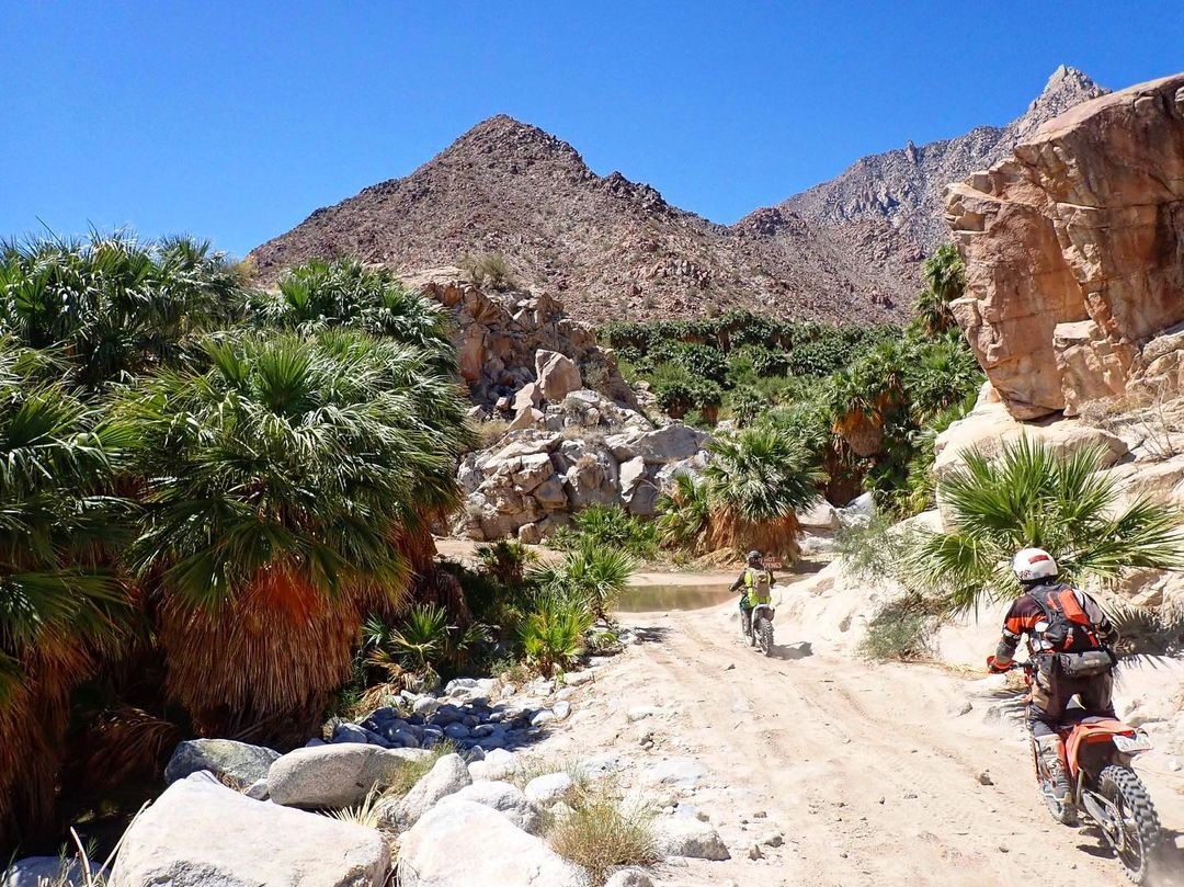 baja-oasis-bike-adventures