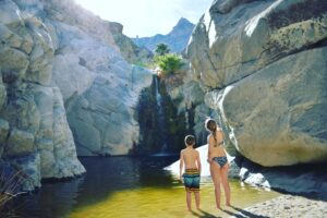 exploring baja oasis