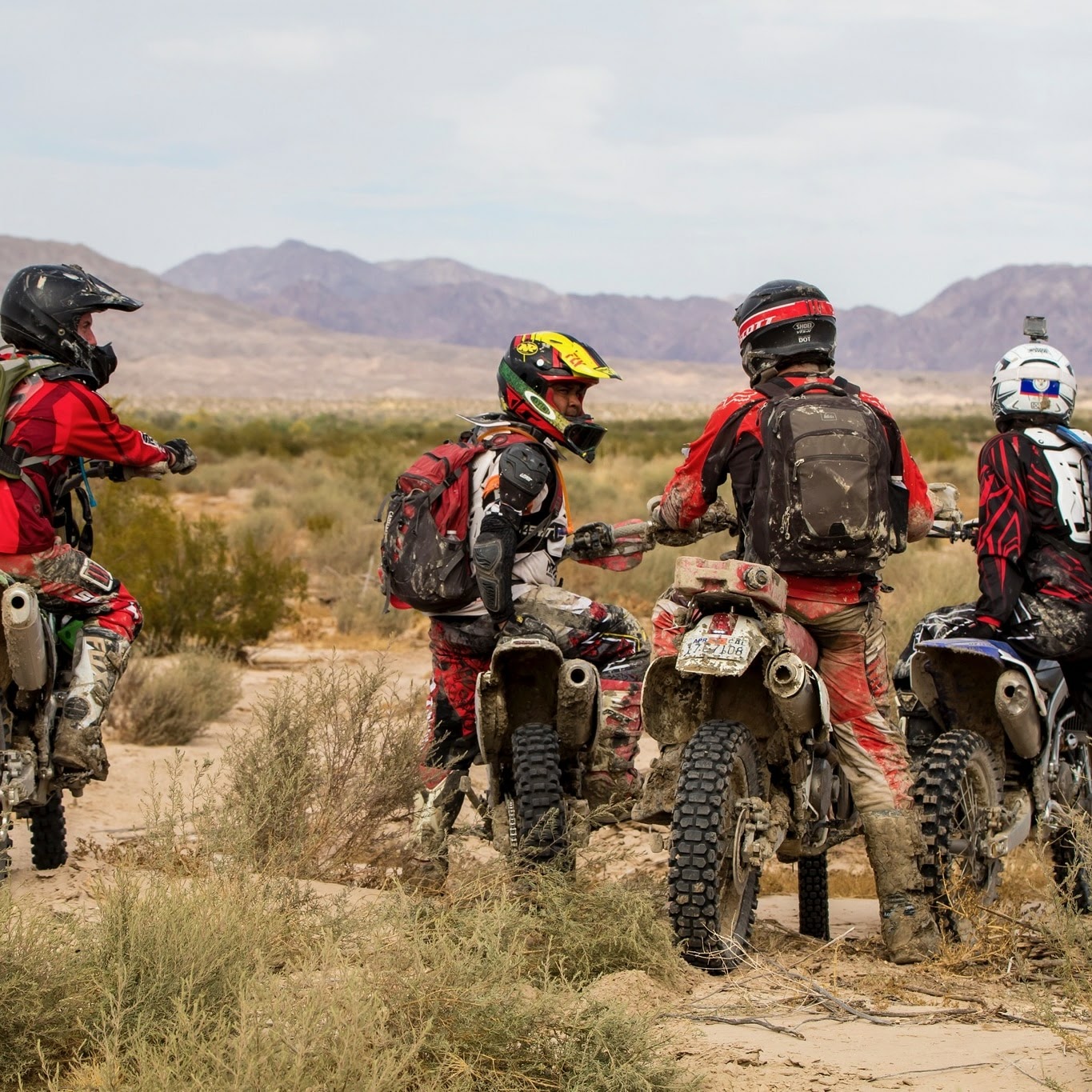 Affordable Dirt Bike Tours with The Baja Oasis Team | BajaOasis