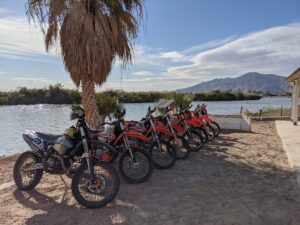 dirt bike tours Baja Oasis